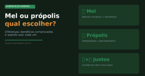 Mel ou própolis — diferenças, benefícios e quando usar cada um