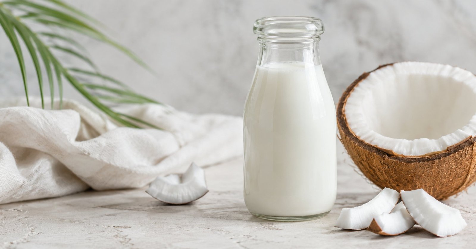 Leite de coco light